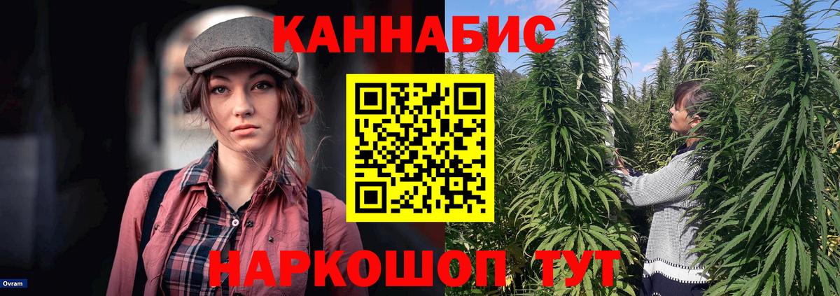 Марихуана SATIVA & INDICA Моздок